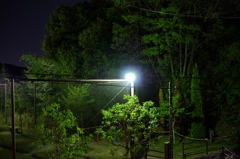 夜の公園