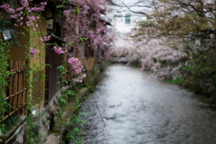 祇園