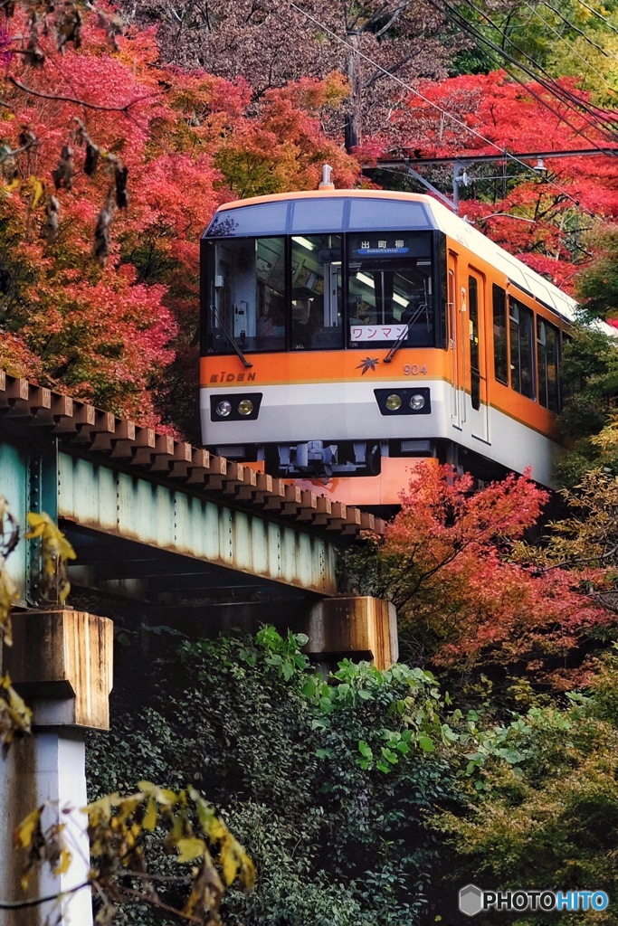 紅葉のトンネル