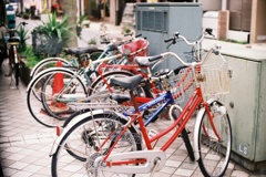 鮮やかな自転車に乗って