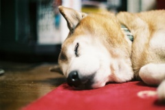 ぬくぬく