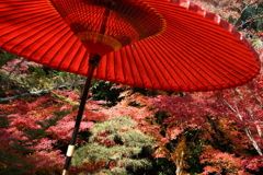 石山寺　紅葉