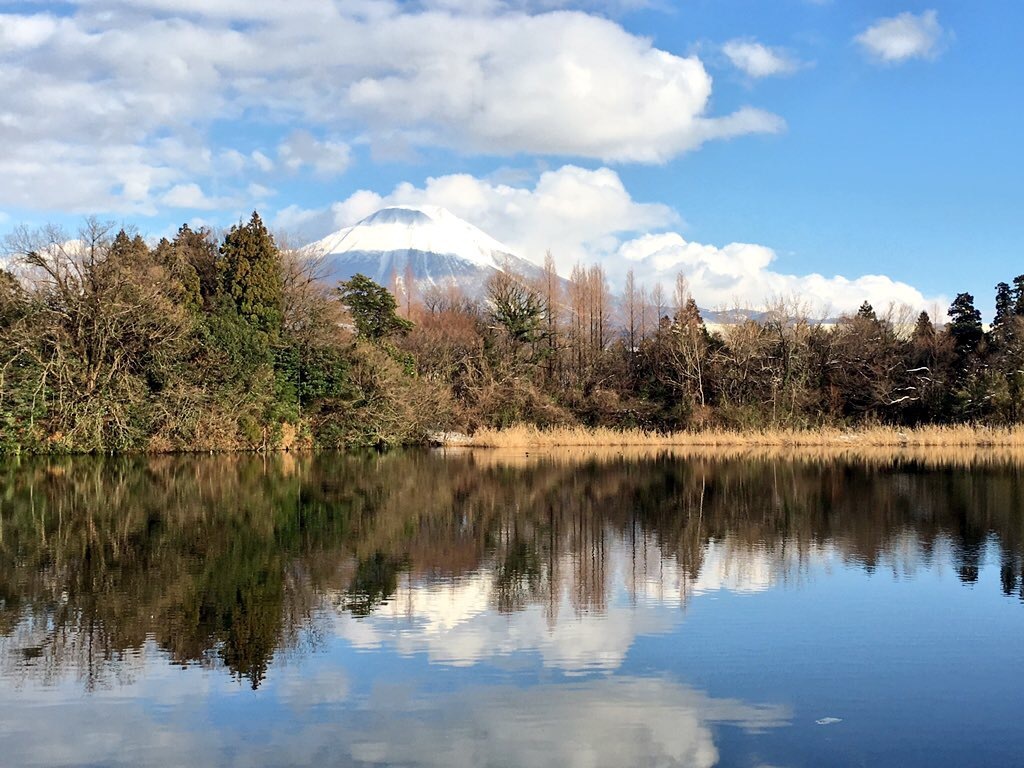 冬の大山