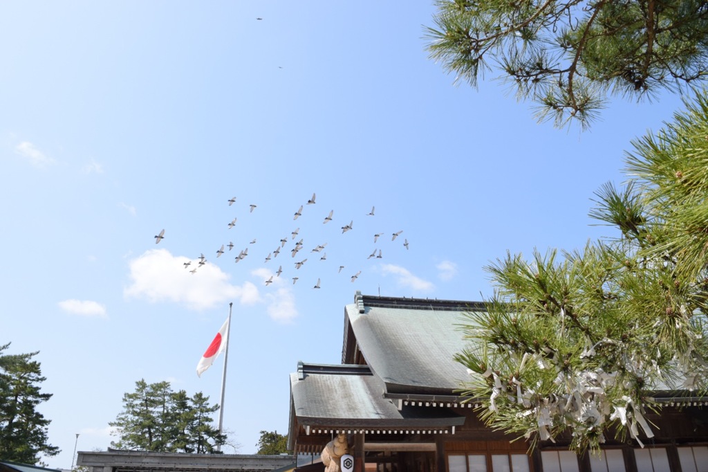 飛び立ち