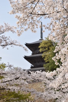 山陰 清水寺