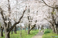 春の散歩道〜april〜