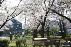 公園〜april〜