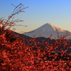 春近し