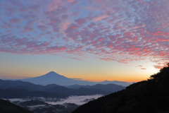 染まる鰯雲