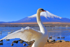 どちらが主役？