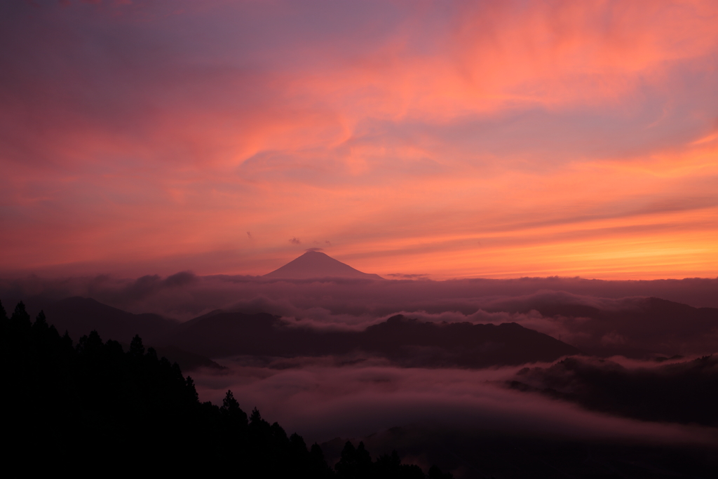 紅空