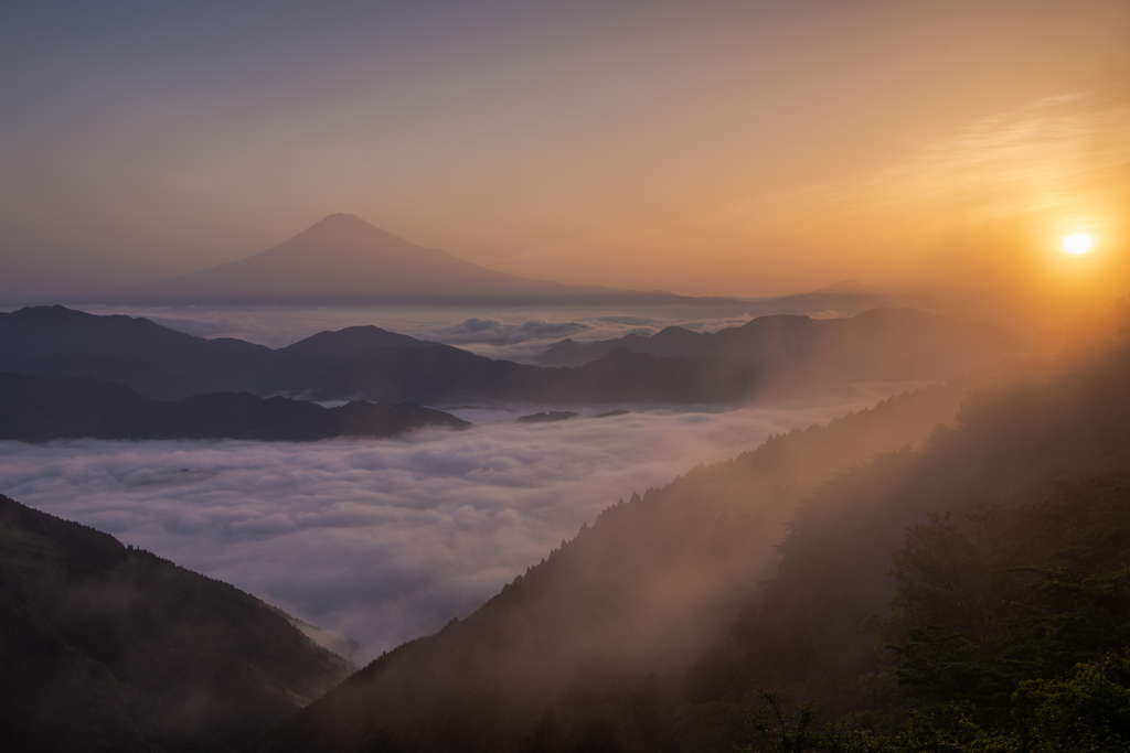 朝靄に煙る