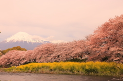 龍厳淵