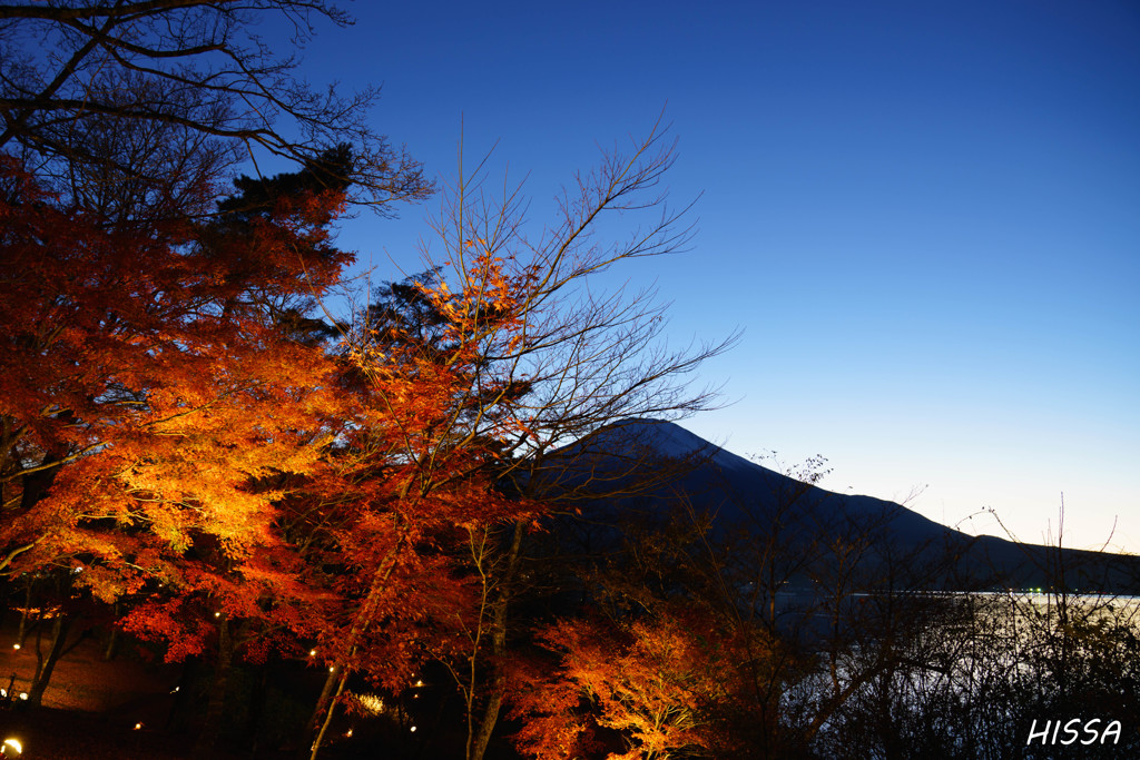 富士と紅葉