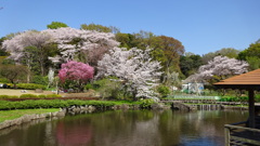 馬場花木園