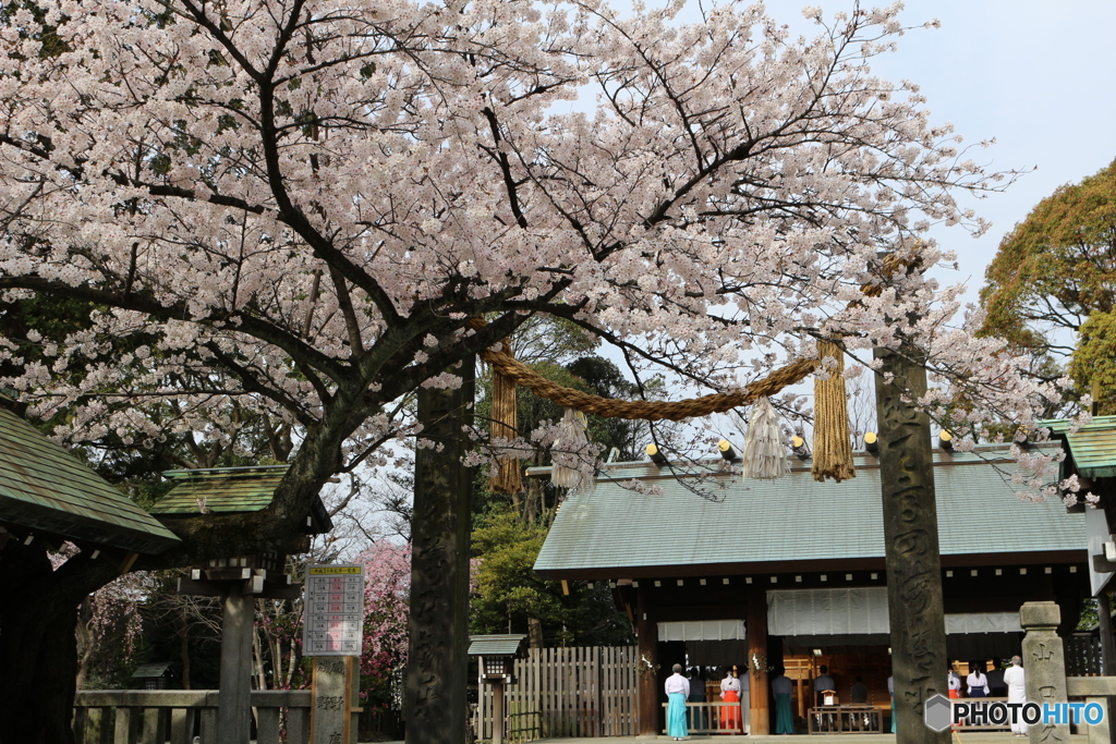 伊勢山皇大神宮