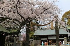 伊勢山皇大神宮