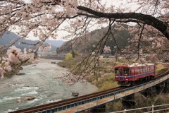 ゆら～り清流列車／桜咲く頃