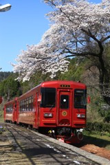 春爛漫
