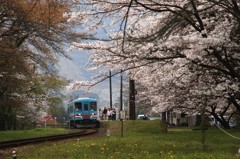桜駅