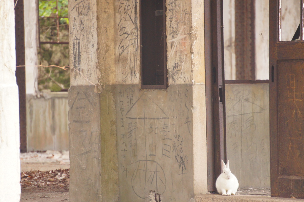 地図から消えた島