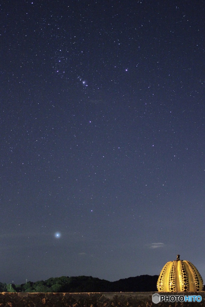 直島 黄色かぼちゃ 星空