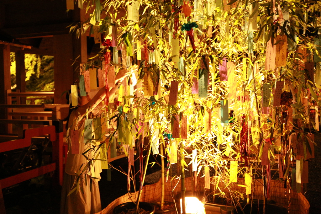 貴船神社 七夕笹飾りライトアップ