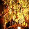 貴船神社 七夕笹飾りライトアップ