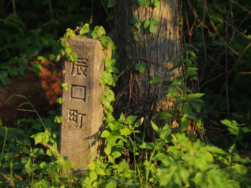 辰口町