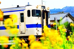 風と電車に揺られ