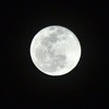 今夜は月が「　　　　　」