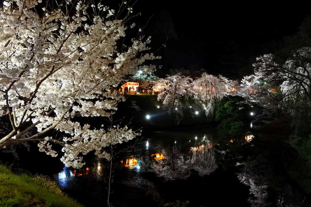 上田城の桜