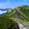 家族登山2016　栂池スカイライン