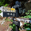 標識