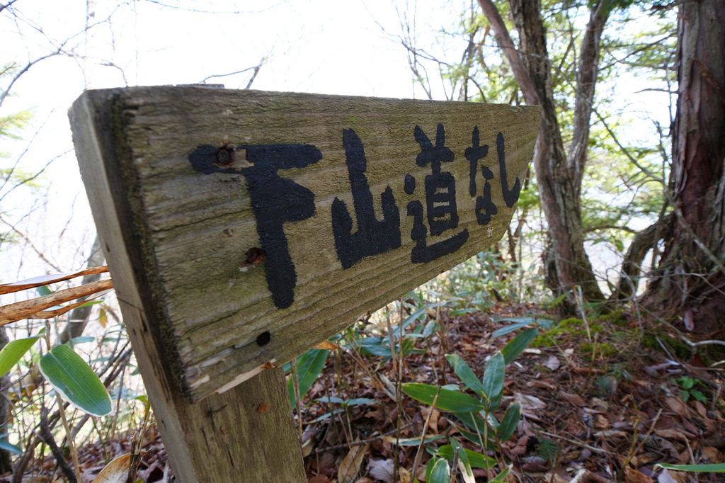 富士尾山の山頂で