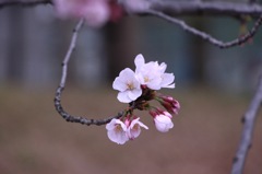 image・初投稿