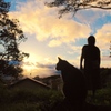 ニャンと夕暮れ