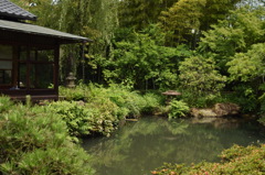 池上梅園　茶室＋池