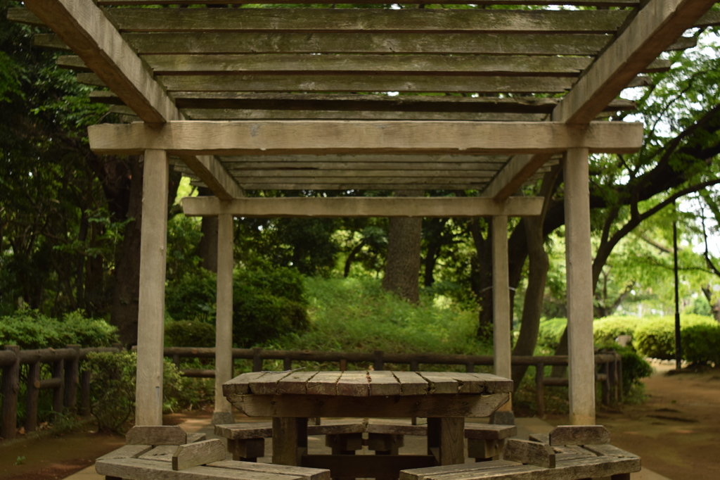 多摩川台公園　ベンチ