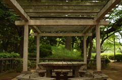 多摩川台公園　ベンチ