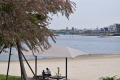 砂浜