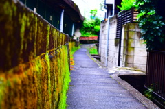 小道