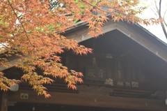 懐かしの神社