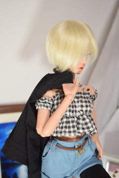 DSC_0104