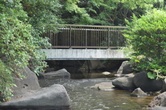 しながわ水族館　公園