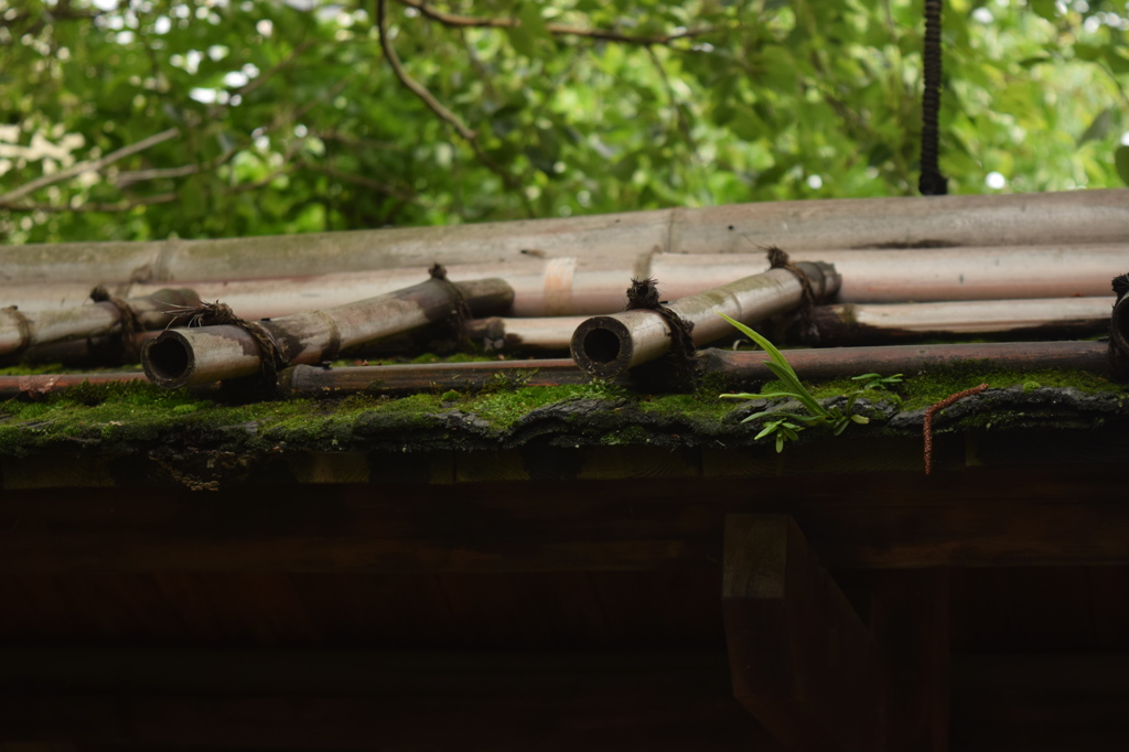 尾崎士郎記念館