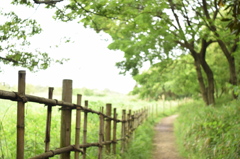 大田区野鳥公園