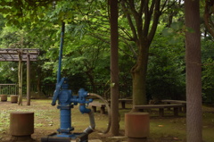 多摩川台公園