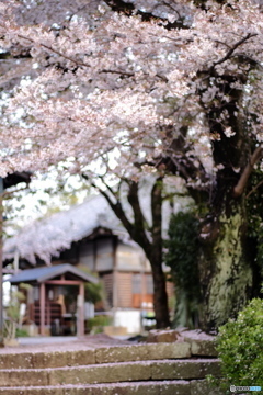 西光寺
