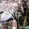 西光寺